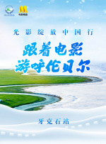 又疼又叫打扑克
